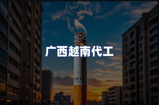 广西越南代工